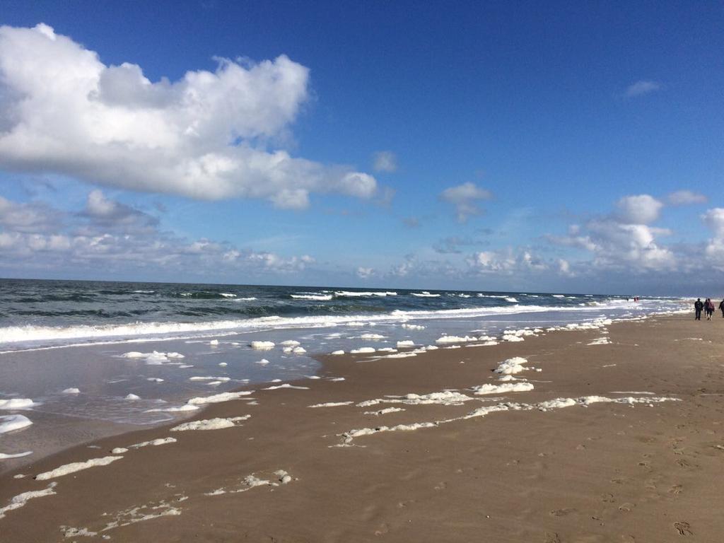 Beachvibes Egmond aan Zee Eksteriør billede